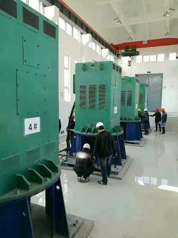 丰泽某污水处理厂使用我厂的立式高压电机安装现场